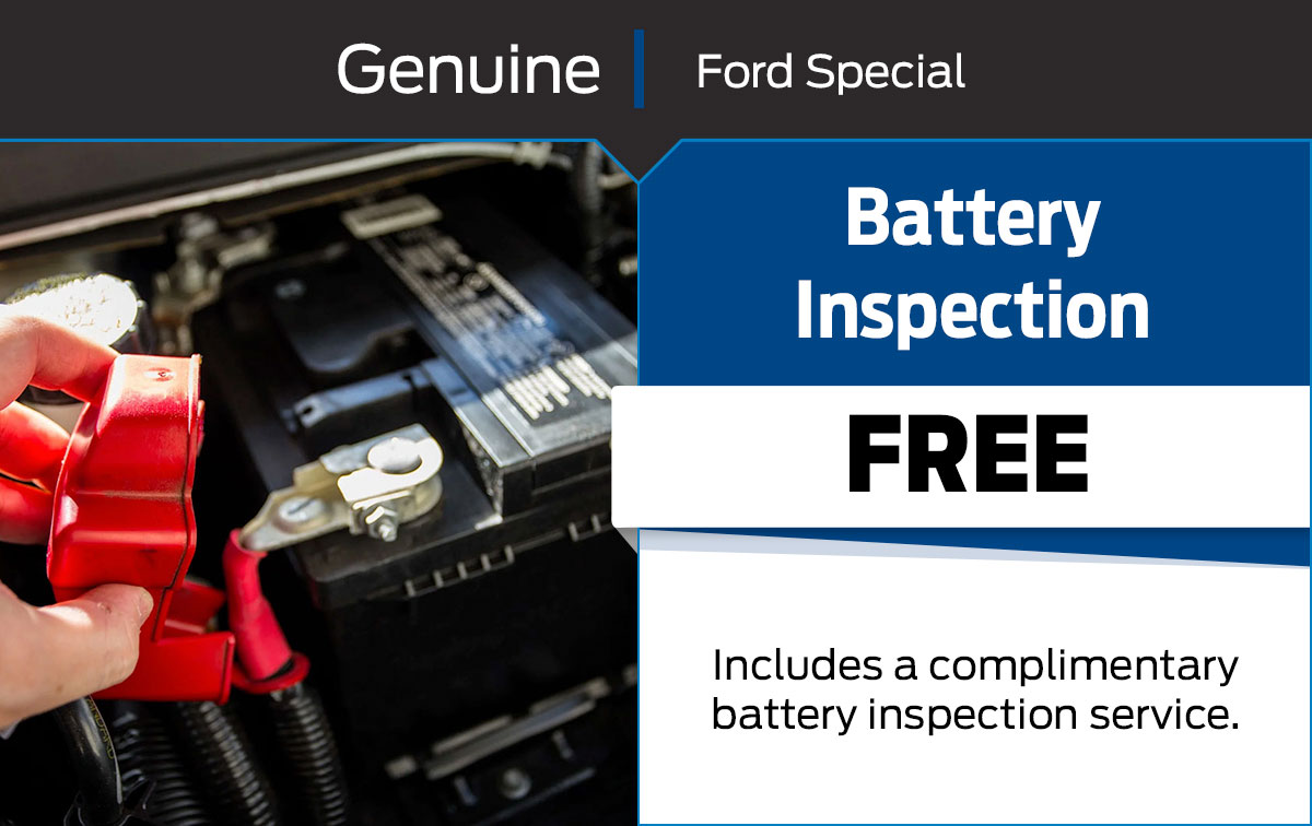 Battery Inspection Service Special Coupon Battery Inspection Service Special Coupon