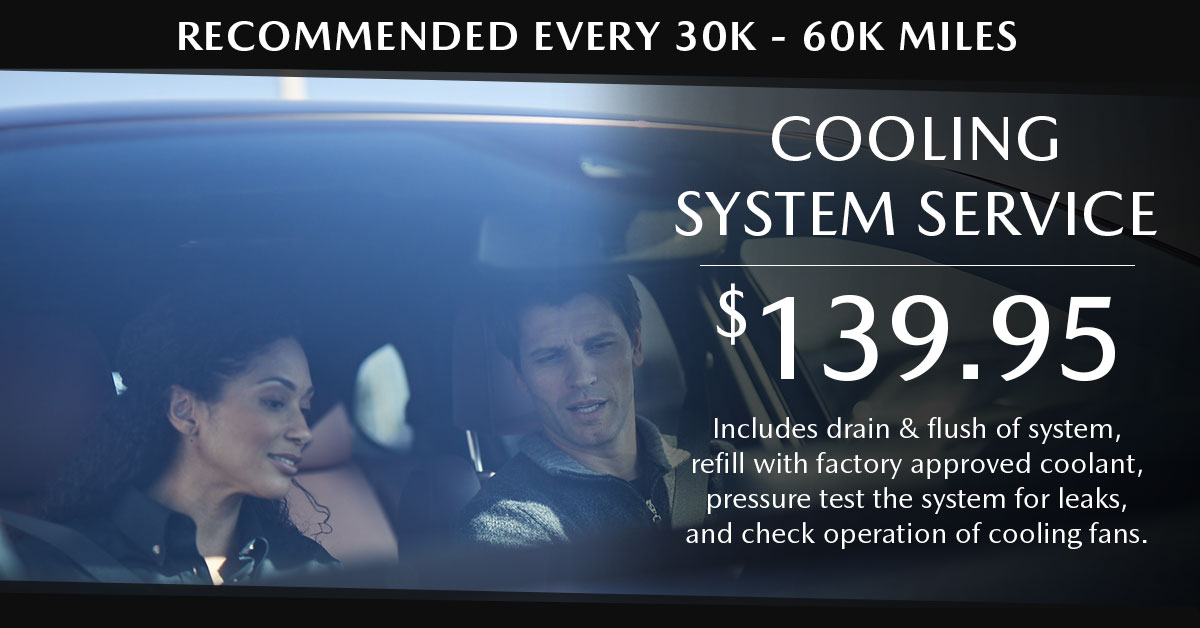 Cooling System Service Icon Cooling System Service Icon