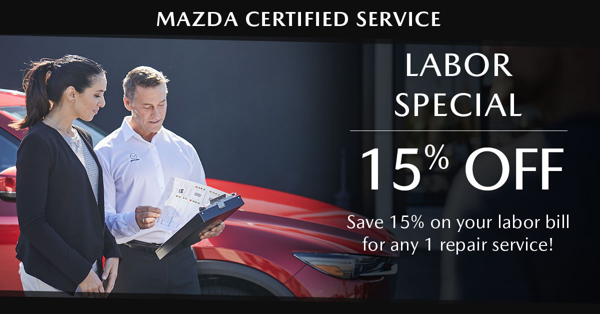 Labor Special Icon Labor Special Icon