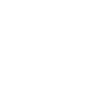 Battery Service Icon