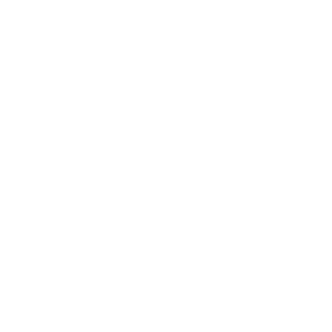 Silver Package Icon