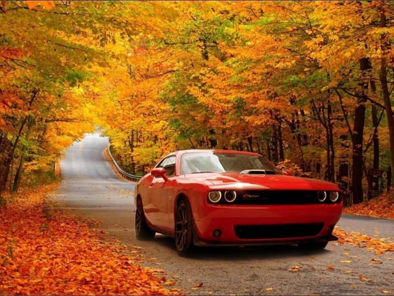 MOPAR Fall Preparation Service