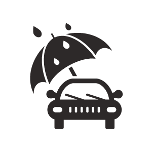 Storm Damage Icon
