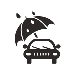 Storm Damage Repair Icon