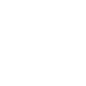 Rotor Resurfacing or Replacement Icon