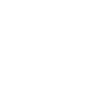 Brake System Icon