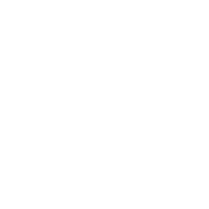 More Service Icon