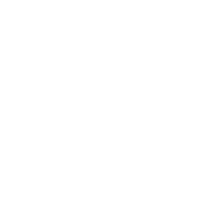 Four-Wheel Alignment Icon