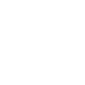Brake Fluid Exchange Icon