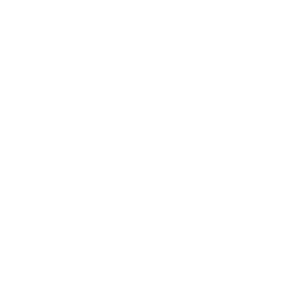 Brake Pad Replacement Icon
