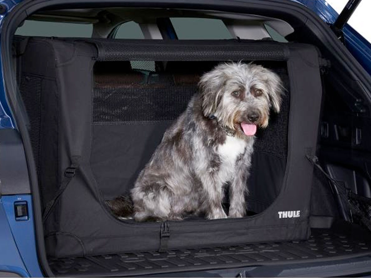 Subaru pet hot sale accessories