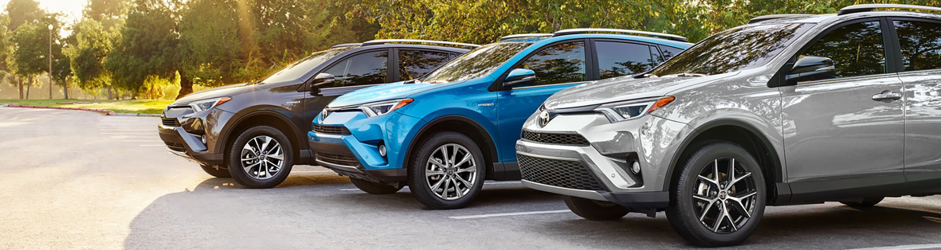 Toyota Power Steering Fluid Exchange Service
